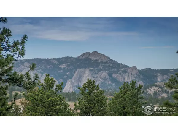 1092 Middle Broadview Rd, Estes Park, CO 80517