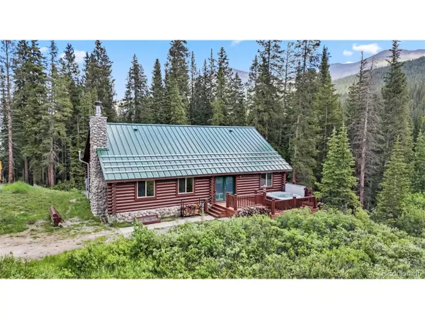 274 CR 672, Breckenridge, CO 80424