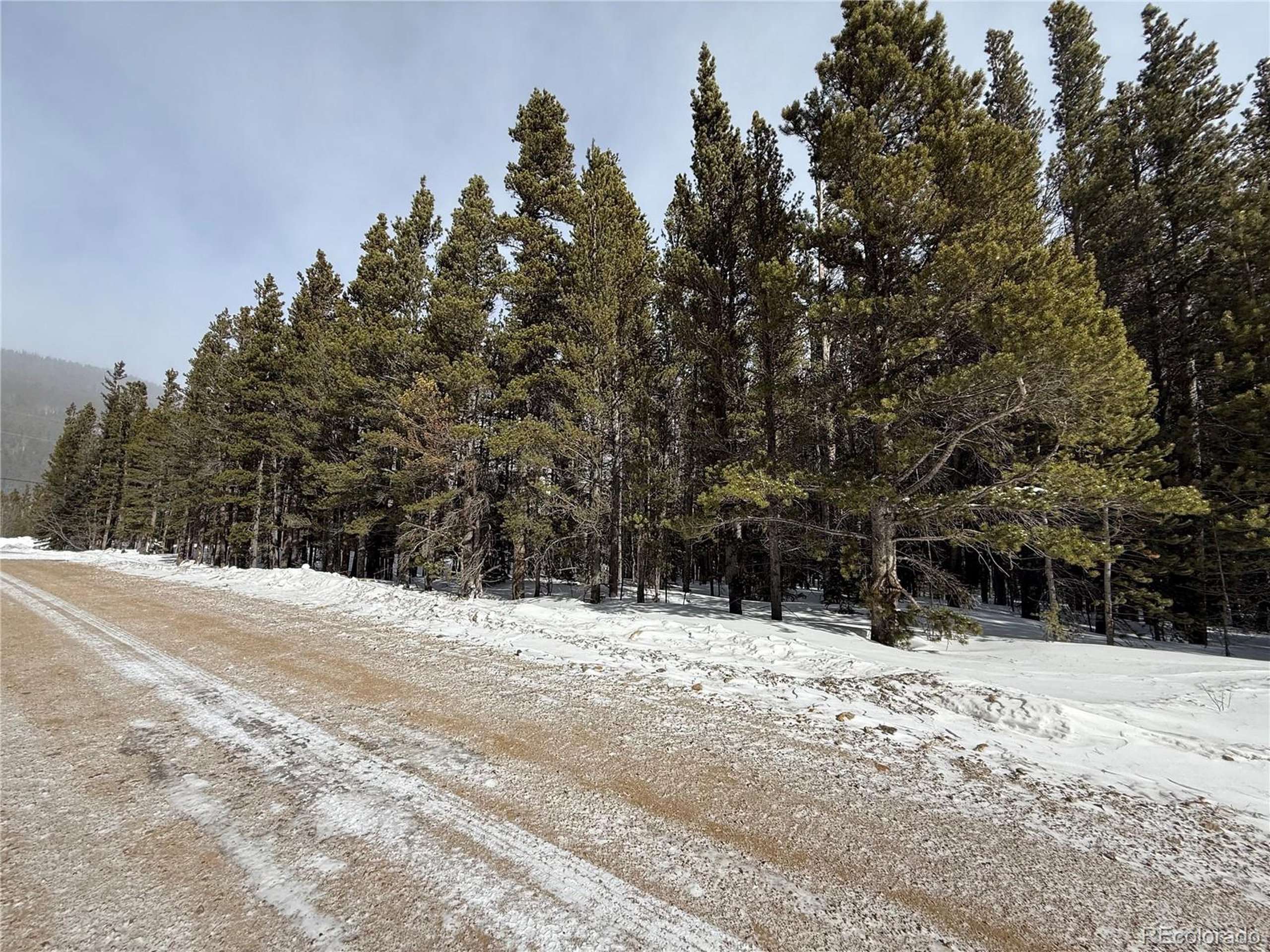 Idaho Springs, CO 80452,105 Deer Rd