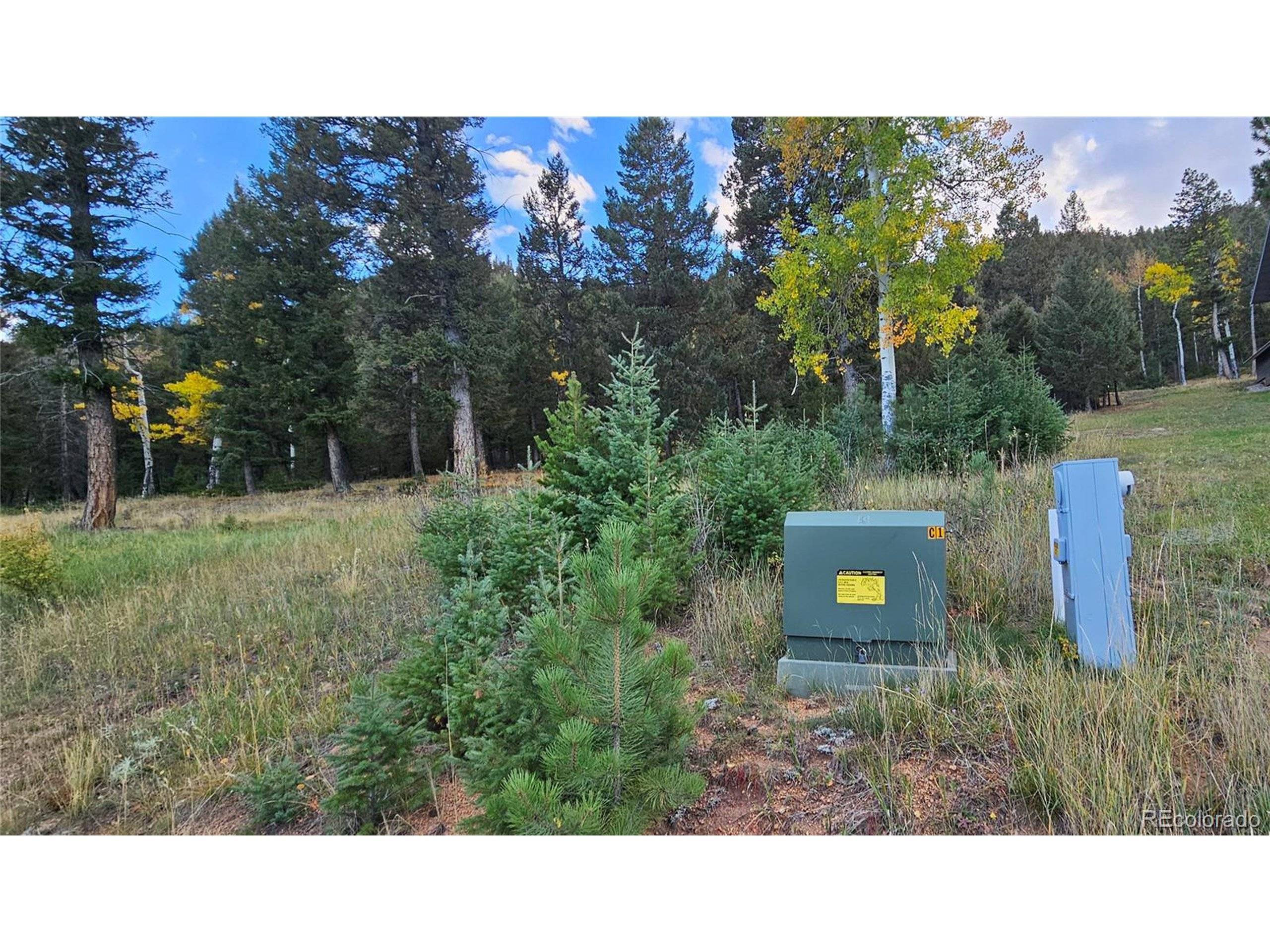 Pine, CO 80470,54 Garnet Ln