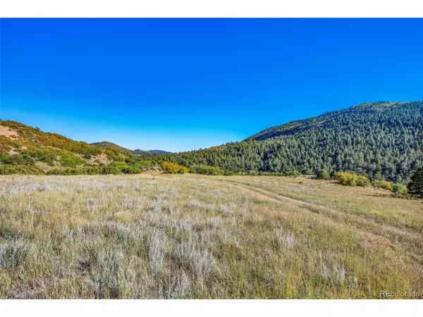 Canon City, CO 81212,92 Bear Trax Dr