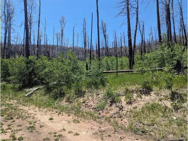 Fort Garland, CO 81133,839 Slaoui Pl