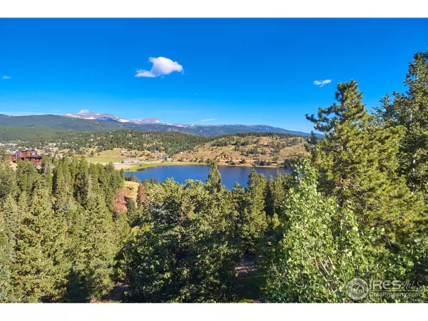 Nederland, CO 80466,71 Pinecliff Trl