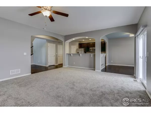 Windsor, CO 80550,899 Shirttail Peak Ct