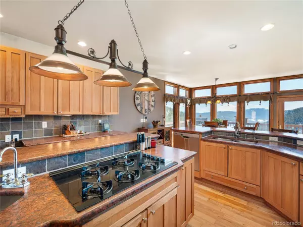 Idaho Springs, CO 80452,76 Raven Ridge Rd