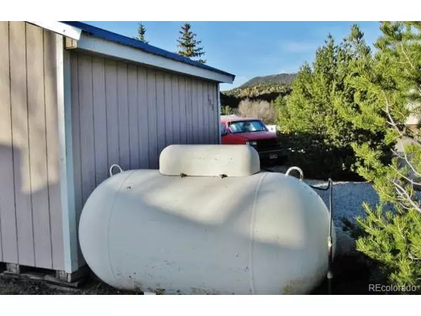 Nathrop, CO 81236,10795 County Road 197 A #105