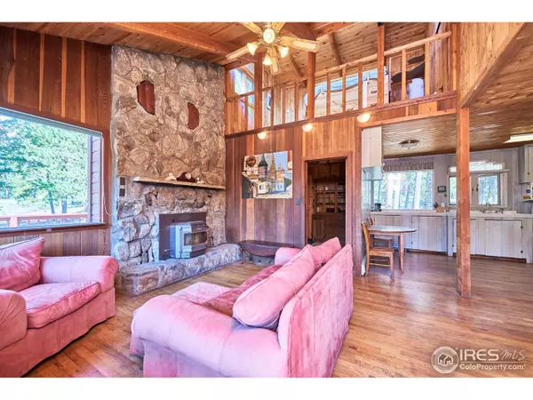 Nederland, CO 80466,485 Horseshoe Pl