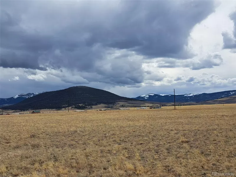 62 Wooly Worm Ln, Fairplay, CO 80440