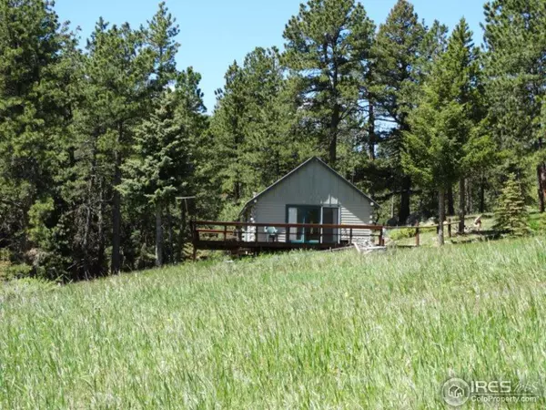 Nederland, CO 80466,155 Cumberland Gap Rd