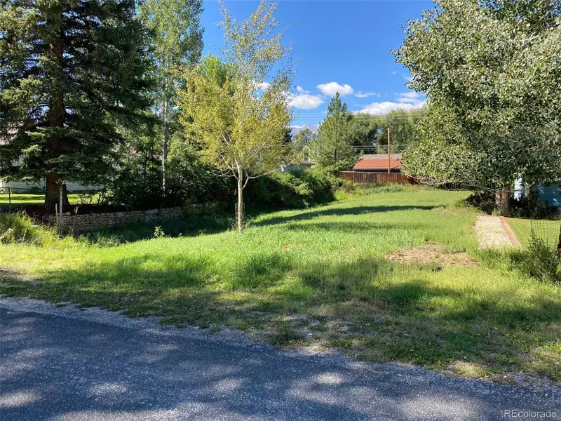 Buena Vista, CO 81211