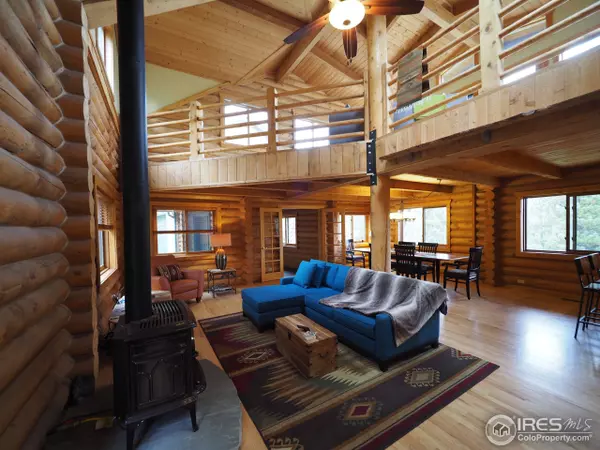 Nederland, CO 80466,85 Valley View Dr