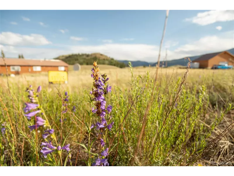 438 Spruce Dr, Creede, CO 81130