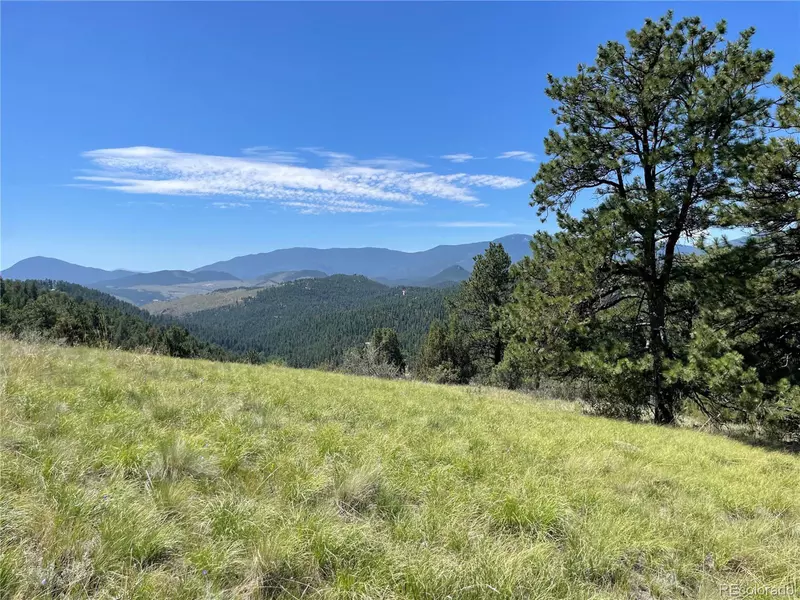 98 Wisp Ln, Bailey, CO 80421