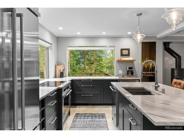 592 Brook Dr, Idaho Springs, CO 80452