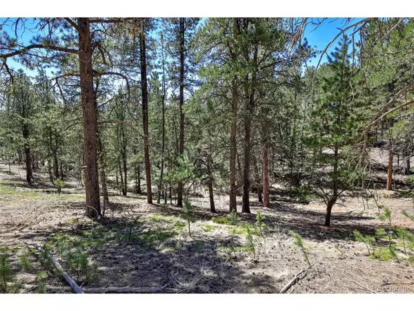 Divide, CO 80814,860 Spring Valley Dr
