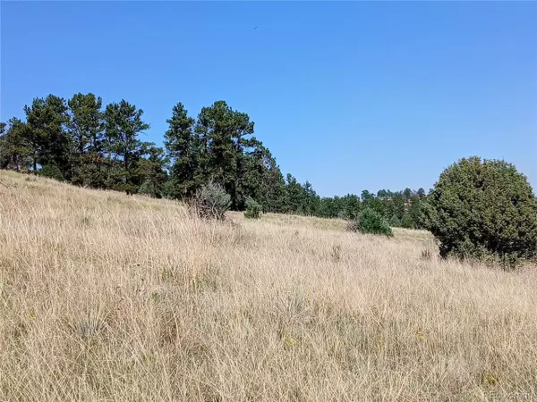 Kiowa, CO 80117,16550 Private Road 146 Parcel C