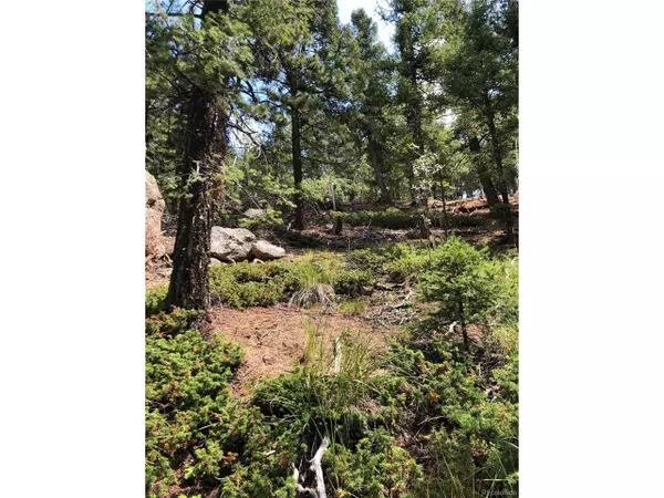Woodland Park, CO 80863,213 Osoeola Rd