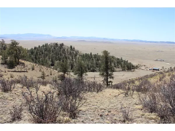 1034 Settele Dr, Hartsel, CO 80449