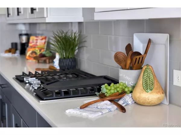 Monument, CO 80132,445 Panoramic Dr