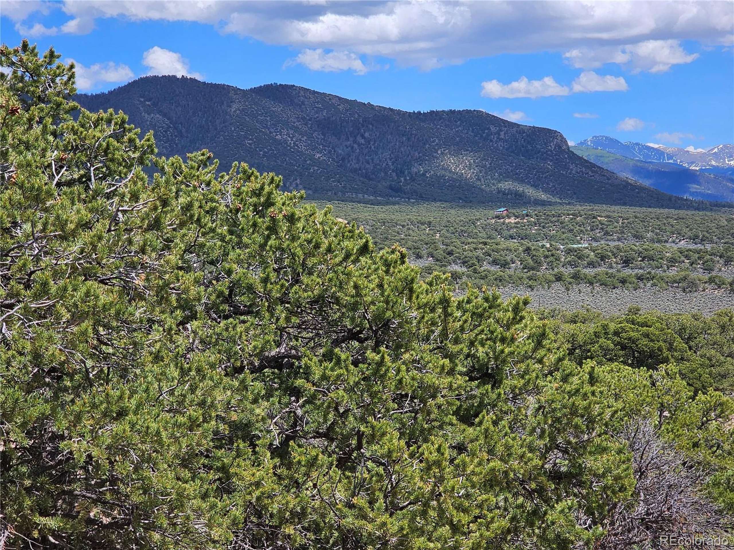 Fort Garland, CO 81133,3953 Kruest Rd