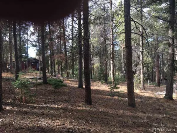 Conifer, CO 80433,26764 Rascal Ln