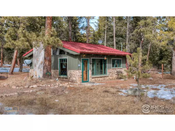 131 Ponderosa Way, Nederland, CO 80466