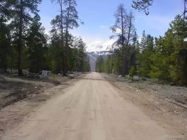 833 Peak View Dr, Twin Lakes, CO 81251