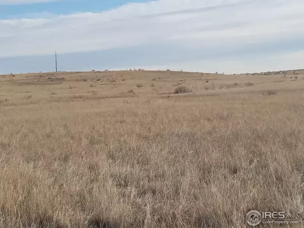 Fort Collins, CO 80524