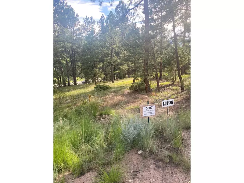 5307 Mountain Vista Ln, Evergreen, CO 80439