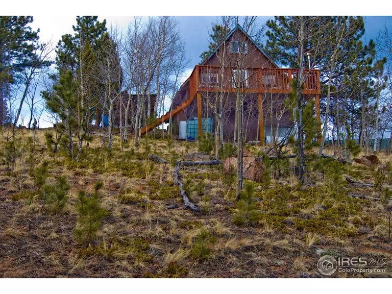 229 McDougal Rd, Bailey, CO 80421