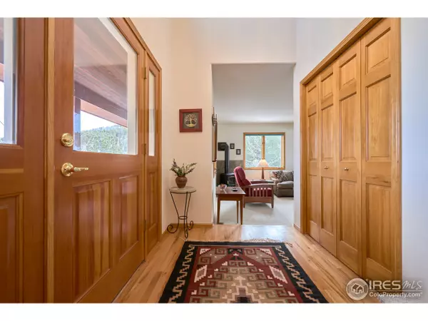 Nederland, CO 80466,299 Alpine Dr