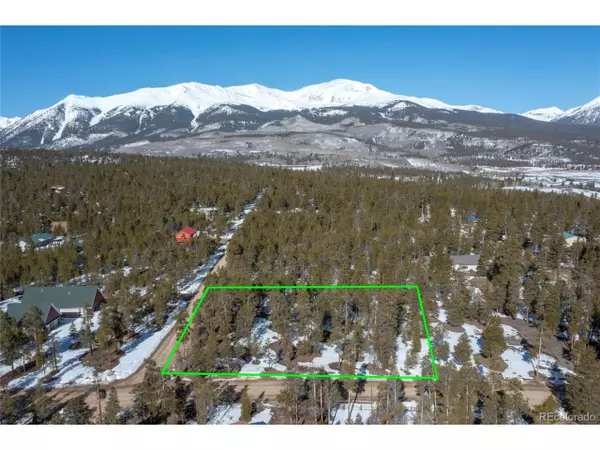 475 Cedar Dr, Twin Lakes, CO 81251