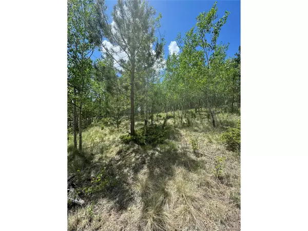 64 Rattler Way, Cripple Creek, CO 80813