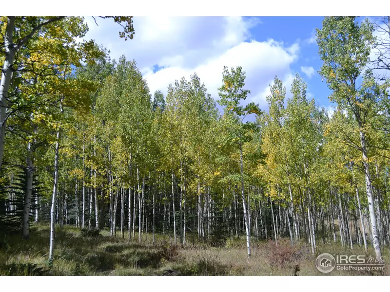 0 Sheep Creek Trl, Fairplay, CO 80440