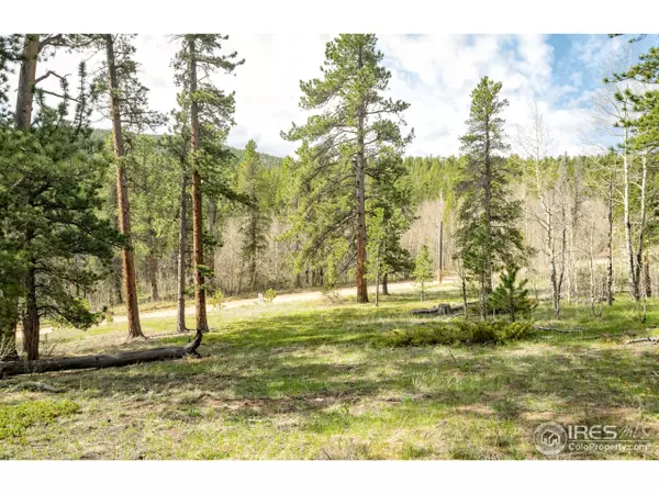665 Cabin Creek Rd, Allenspark, CO 80510