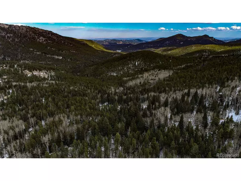 1111 Wood Rd, Idaho Springs, CO 80452