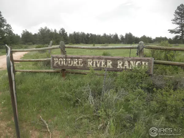 141 Devils Creek Trl, Livermore, CO 80536