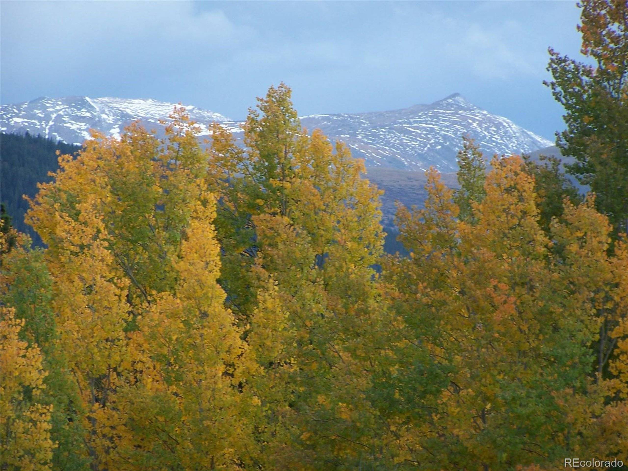 Alma, CO 80420,Glacier Ridge Rd