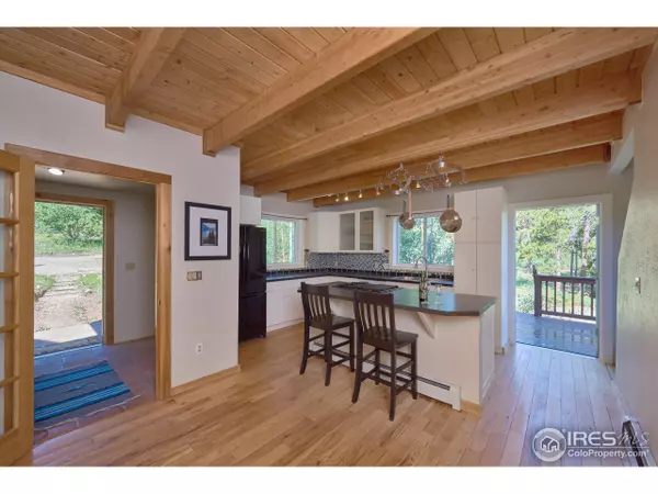 Nederland, CO 80466,17 Ponderosa Dr