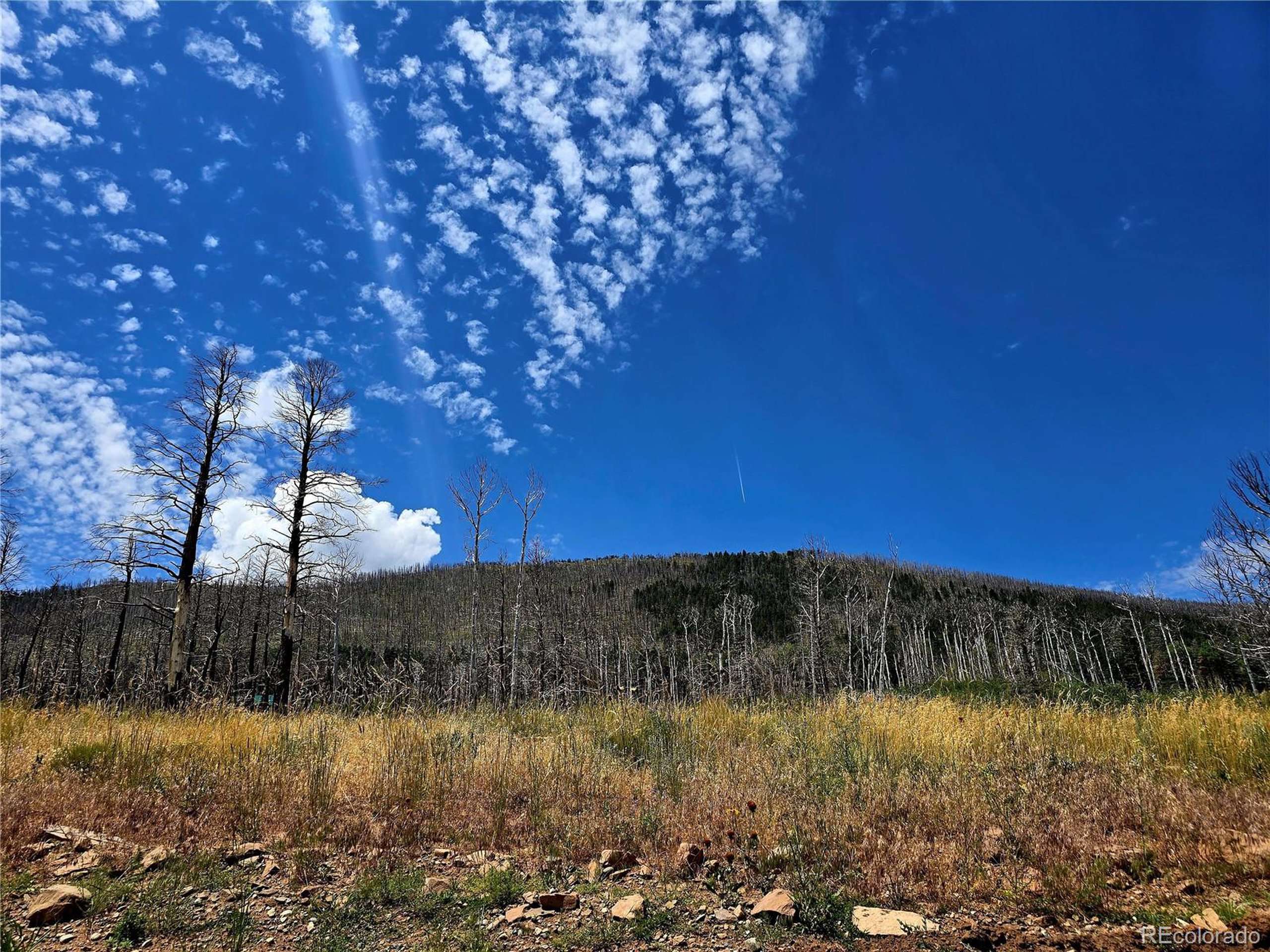 2057 Forbes Park Rd, Fort Garland, CO 81133