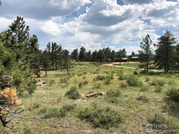 Livermore, CO 80536,480 Lizard Head Mountain Dr