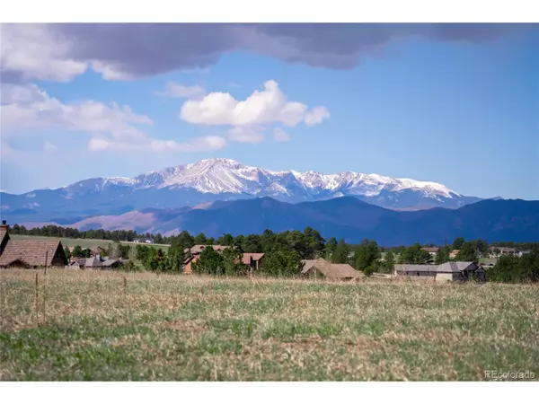16954 Horizon Ridge Trl, Colorado Springs, CO 80908
