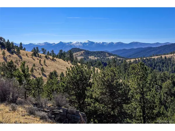 2506 County Road 16, Cotopaxi, CO 81223