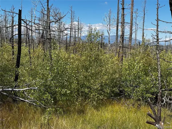 1175 Macomber Ln, Fort Garland, CO 81133