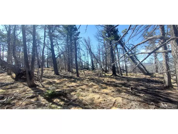 Fort Garland, CO 81133,Address not disclosed