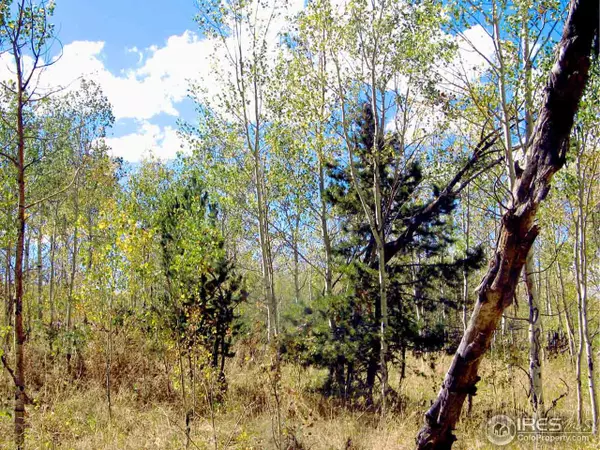 Livermore, CO 80536,Sand Creek Park