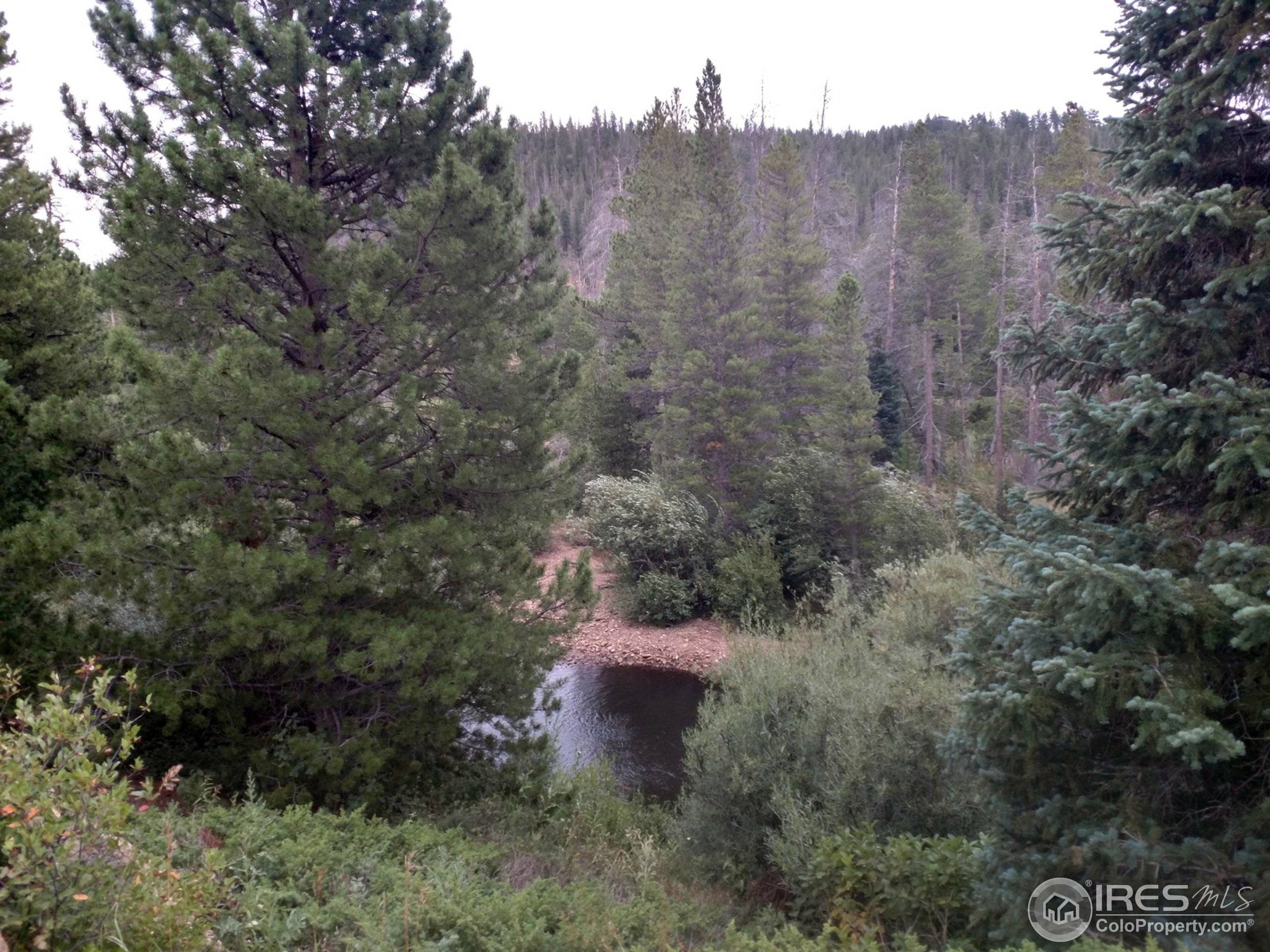 7844 Ottawa Way, Red Feather Lakes, CO 80545