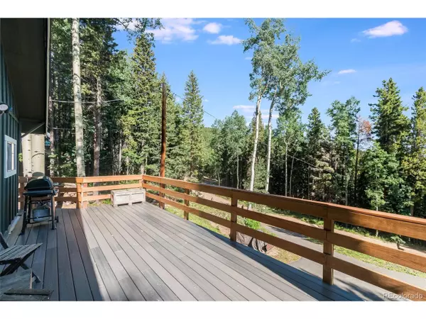 Evergreen, CO 80439,98 Martin Dr