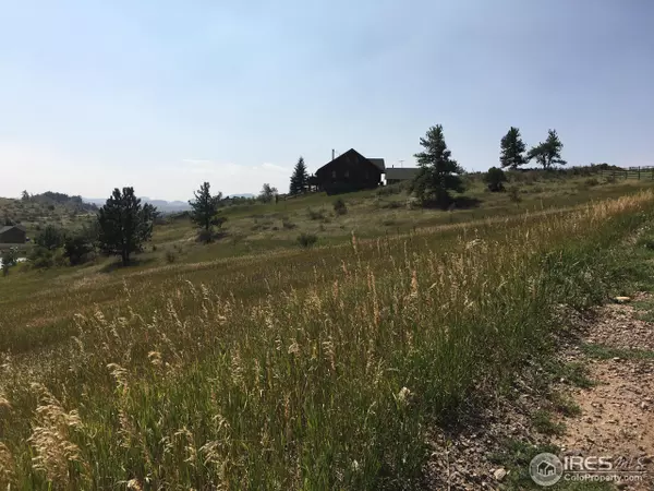 Livermore, CO 80536,66 Mount Axtell Dr