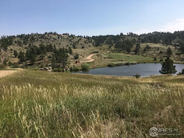 66 Mount Axtell Dr, Livermore, CO 80536